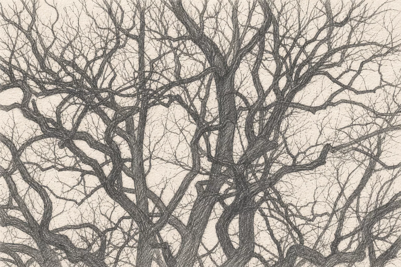 Dessin au crayon de branches d’arbre entrelacées, métaphore visuelle de réseaux dans les réseaux